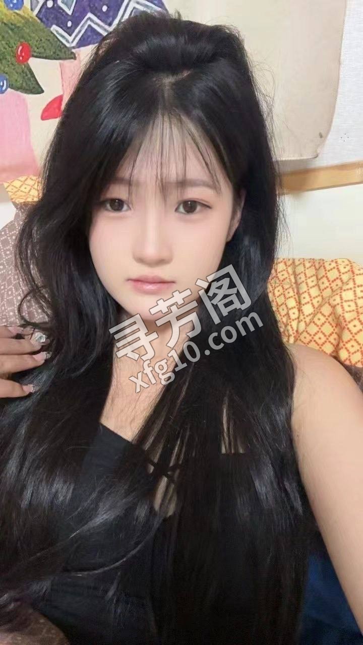 南阳楼凤 3