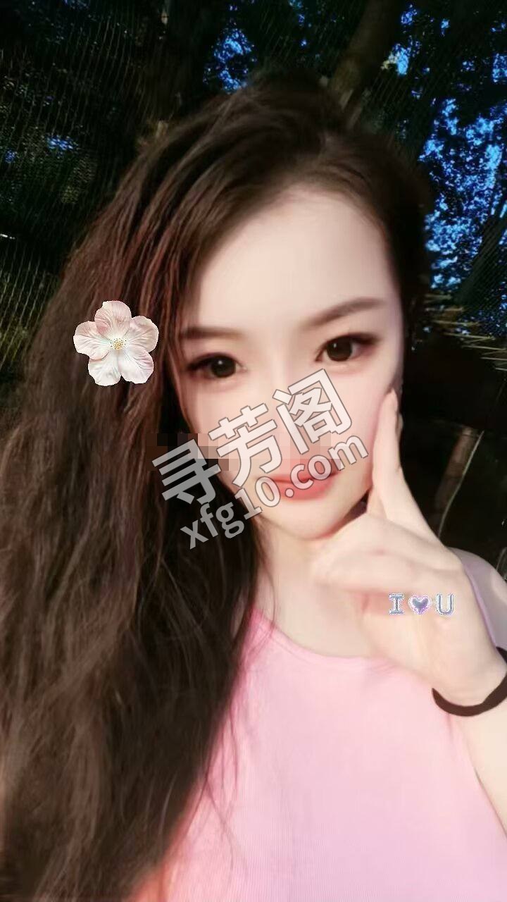 秦淮 500 2