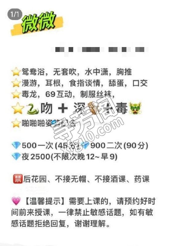 南山 500 6