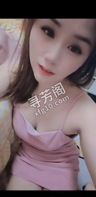 秦淮 500 2