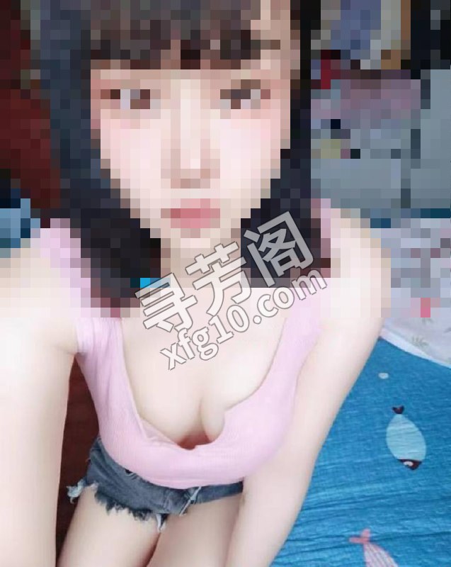 雁塔 4 2