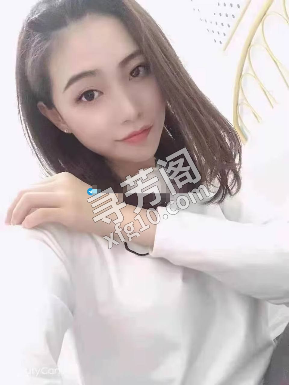 白云 400 2