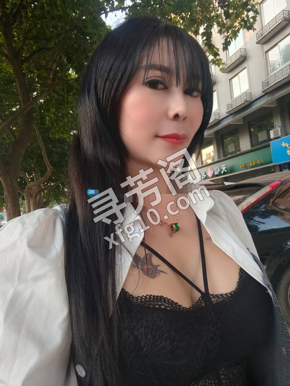桥西区 500 4