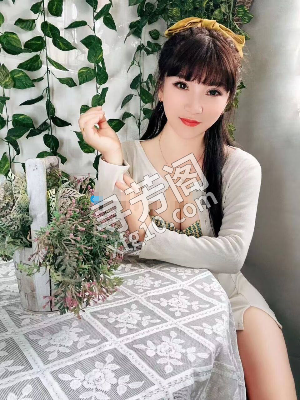 广州白云楼凤 2