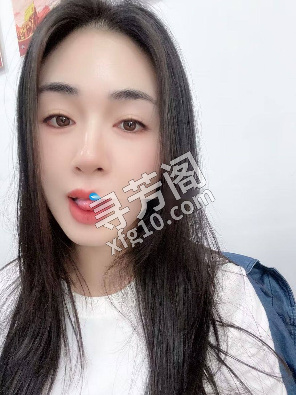 太原楼凤 5