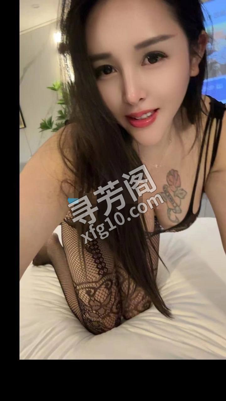 石家庄石家庄裕华楼凤 4