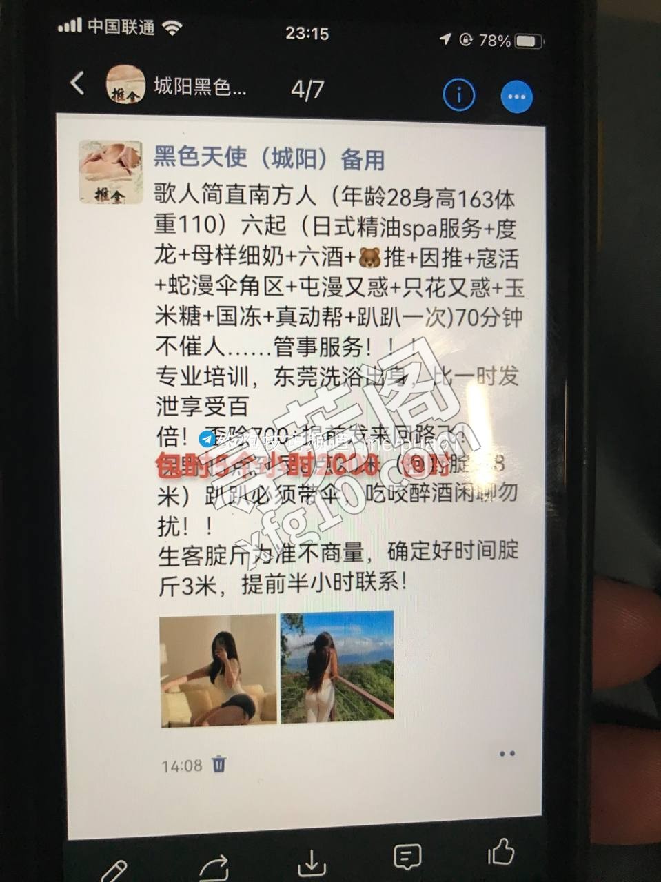 青岛楼凤 2