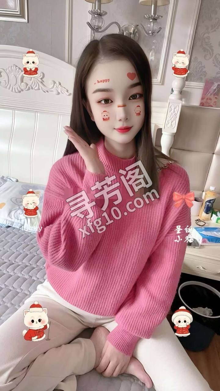 禅城 50 4