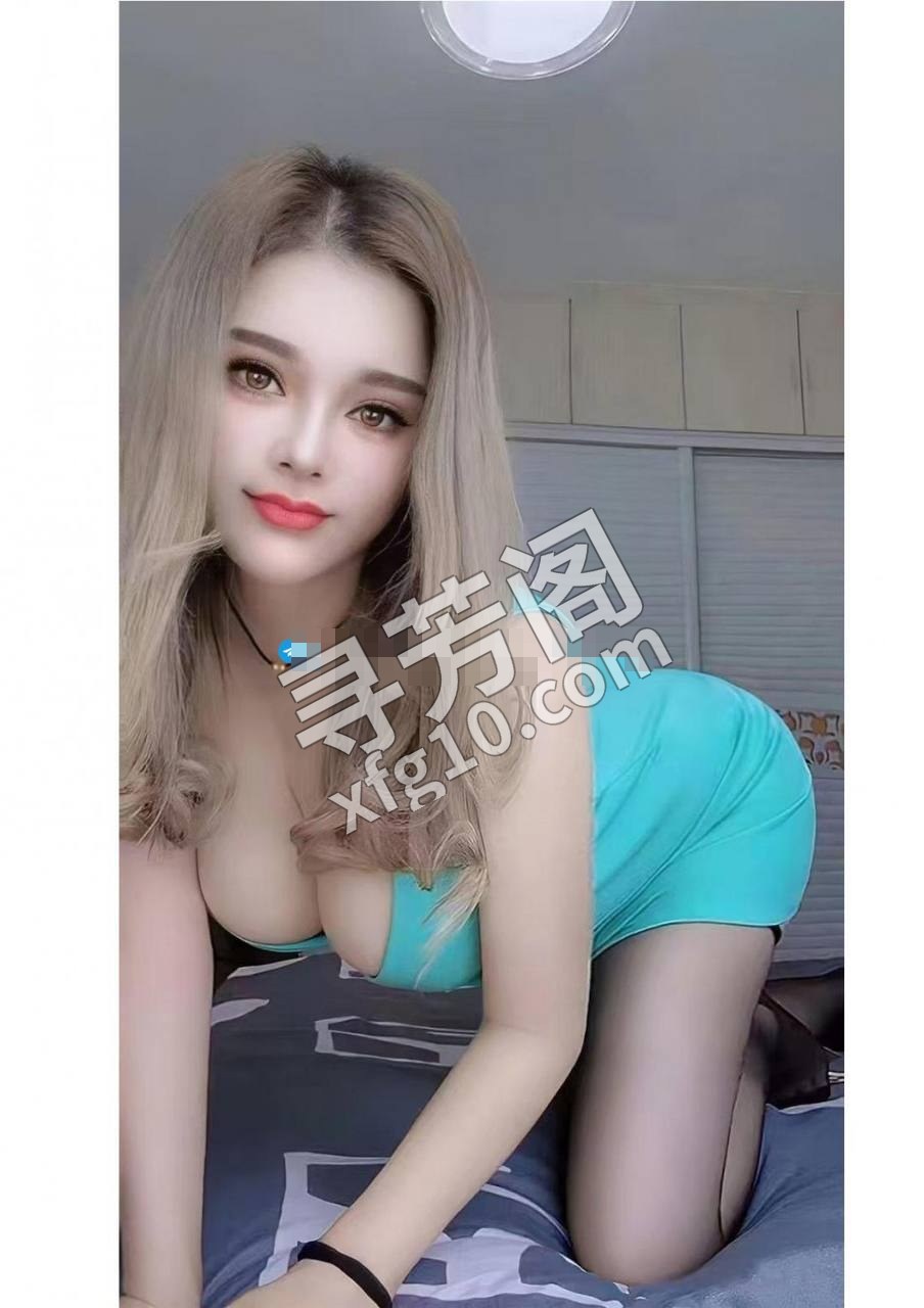 河东 300 3