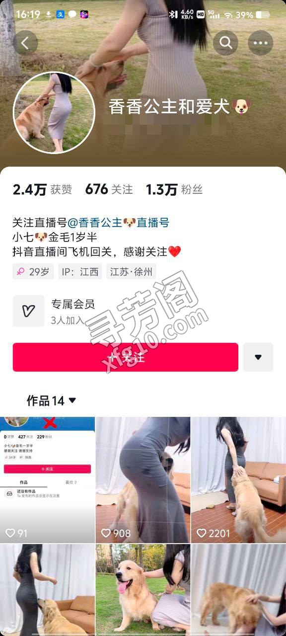国产人兽天花板香香公主和金毛人兽杂交。 2