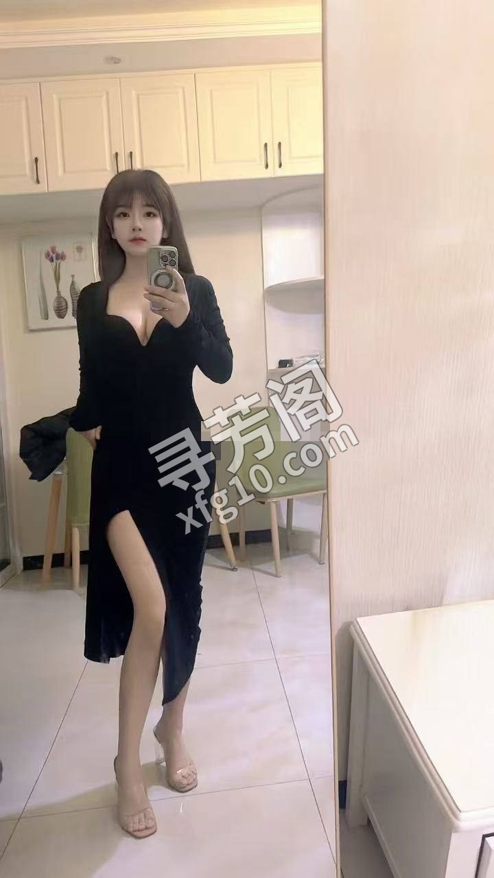 石家庄裕华楼凤 3