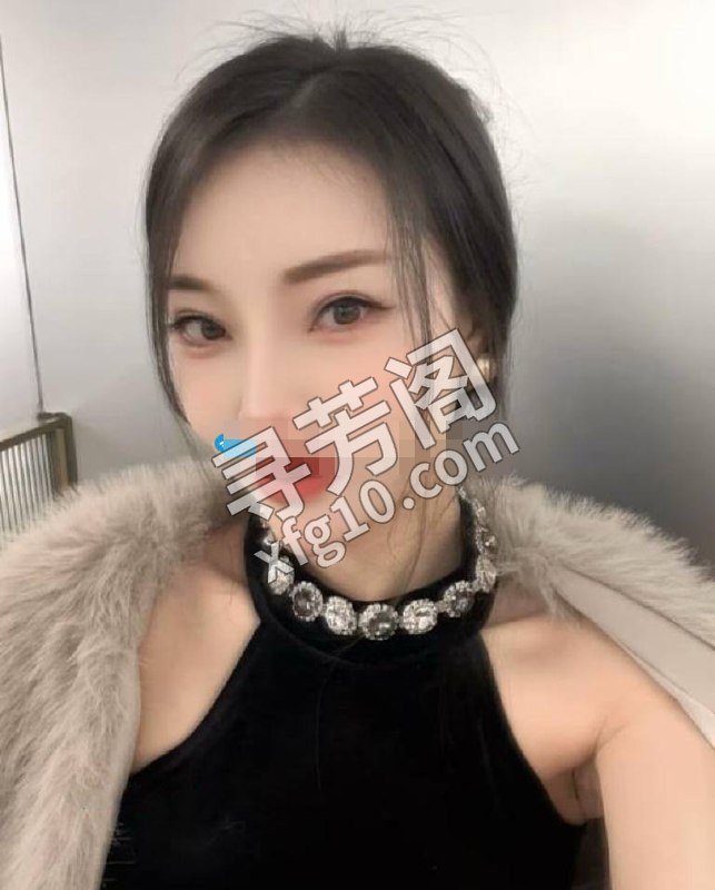南山 500 2