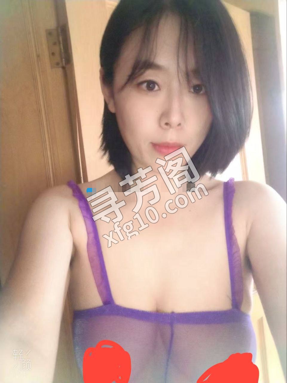 烟台烟台芝罘楼凤 2