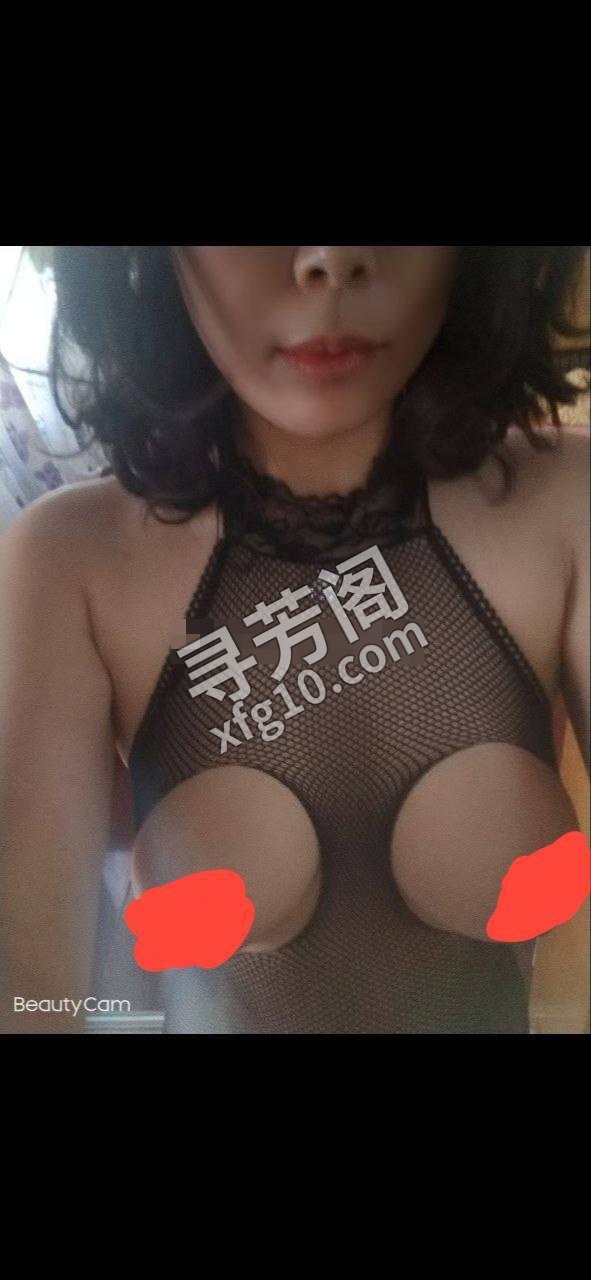 烟台烟台芝罘楼凤 3