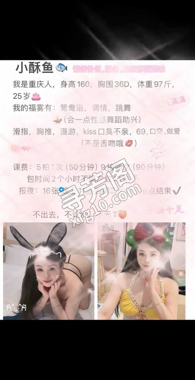 秦淮 500 4