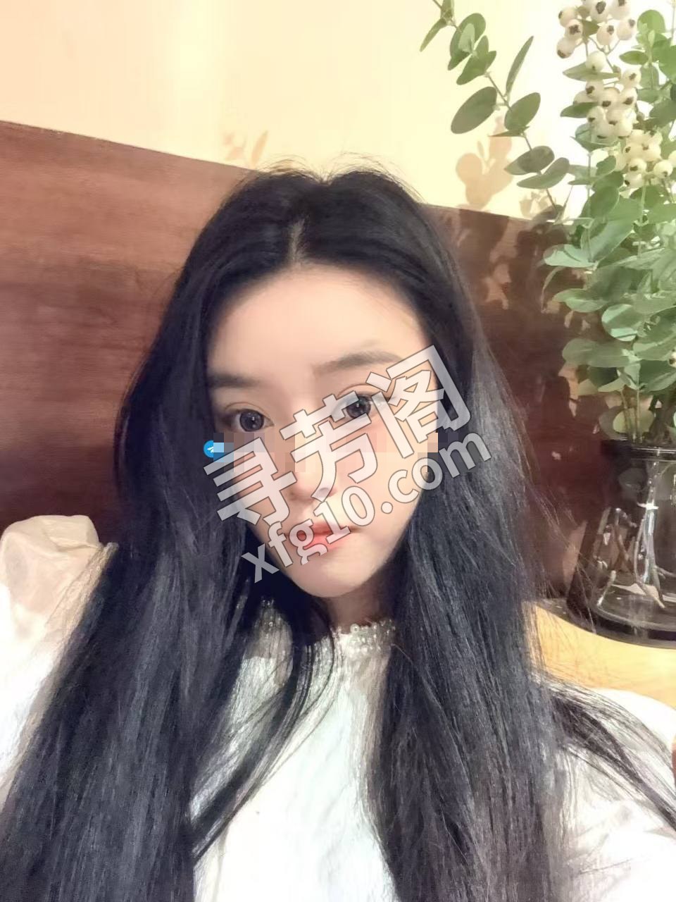 宁波江北楼凤 3