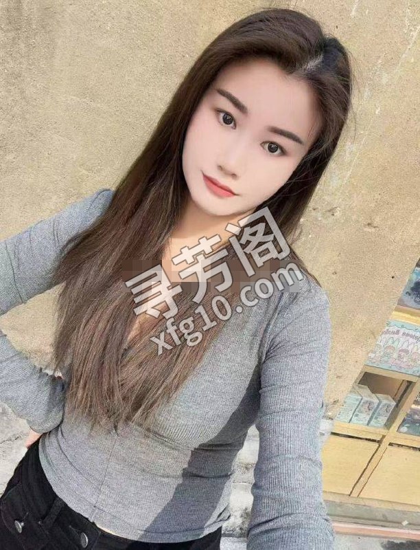 西安雁塔楼凤 2