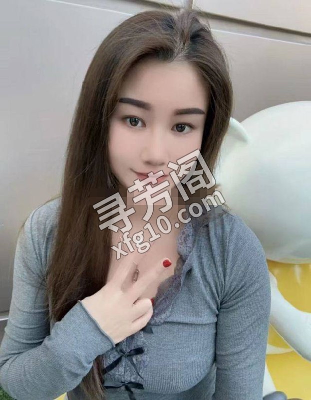 西安雁塔楼凤 3