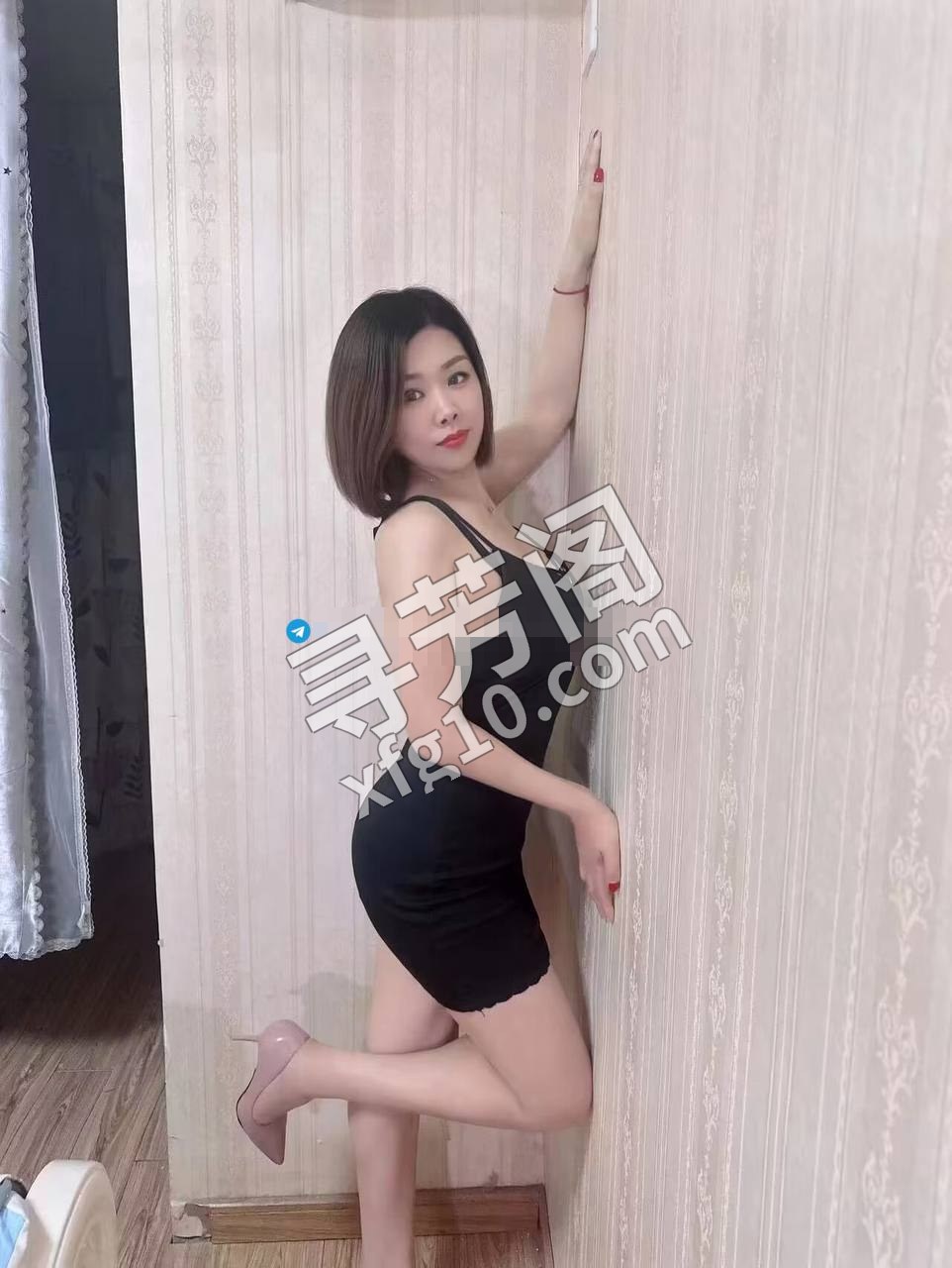 普陀 40 2