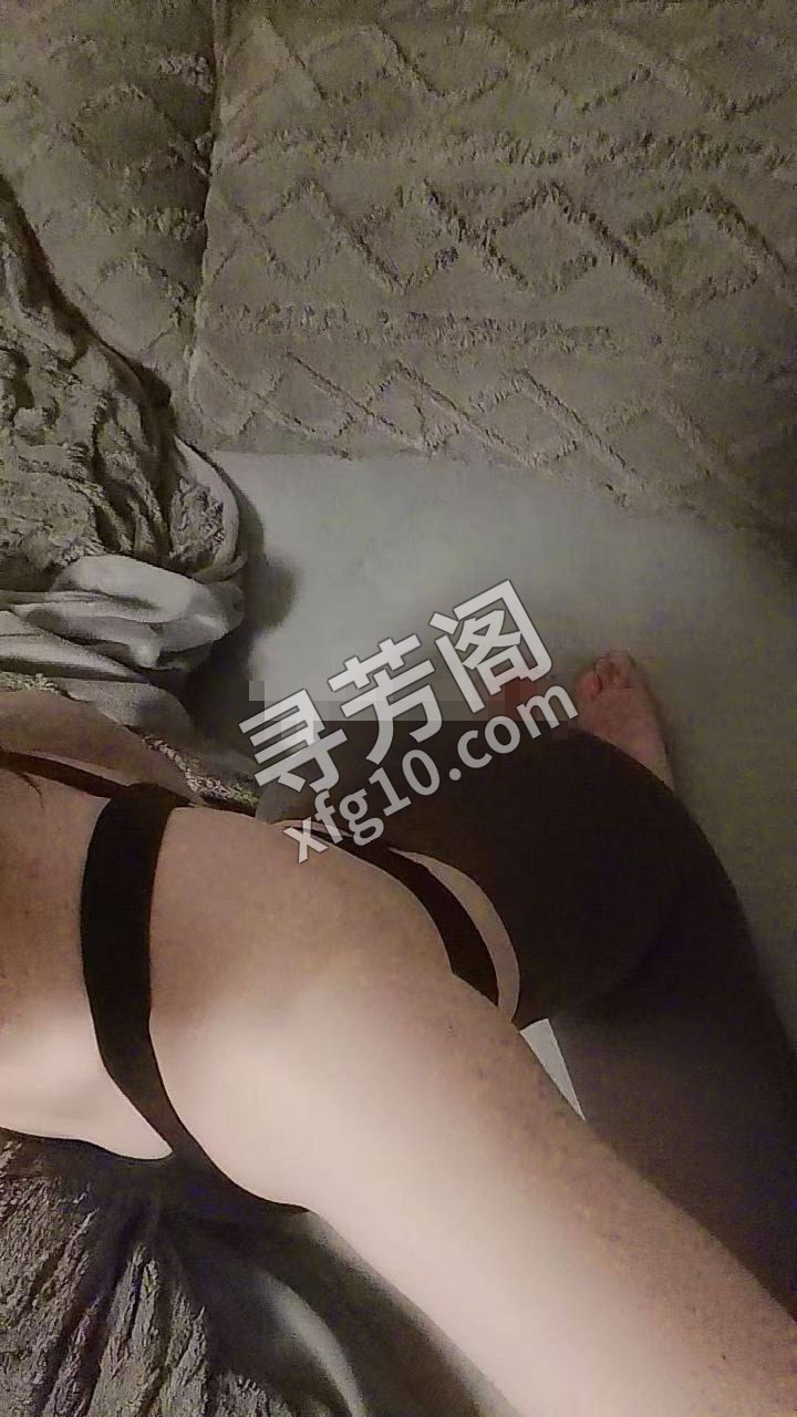 南京秦淮楼凤 2