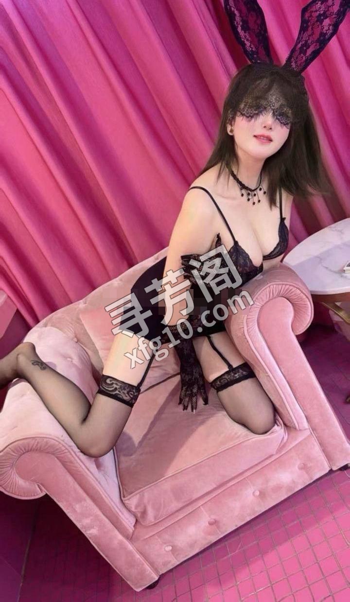 秦淮 60 2