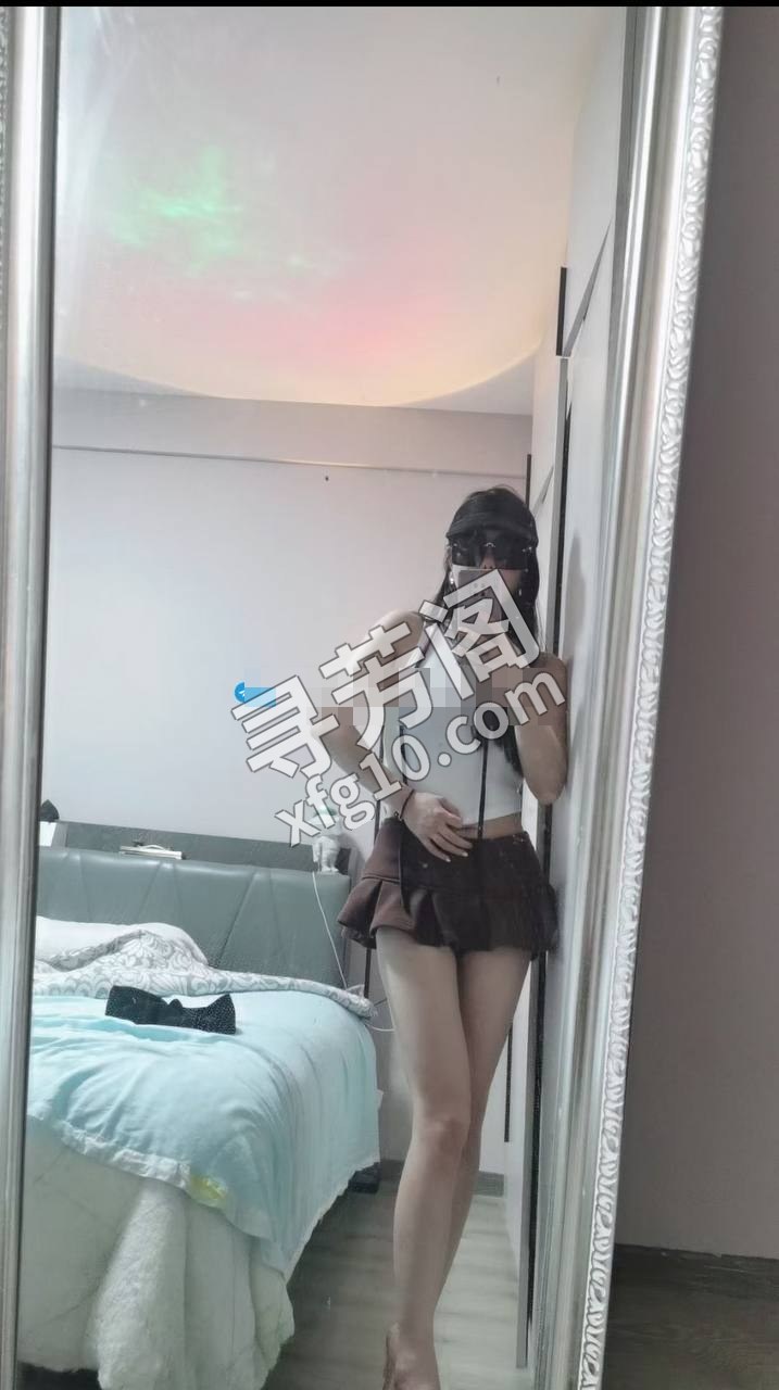 秦淮 600 2