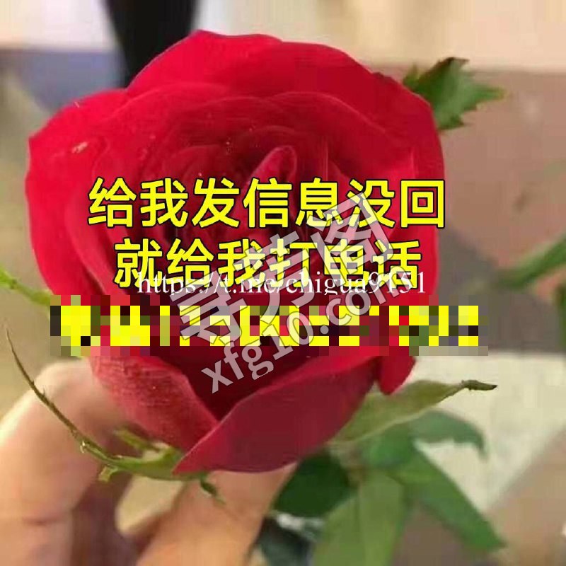草房 600 4