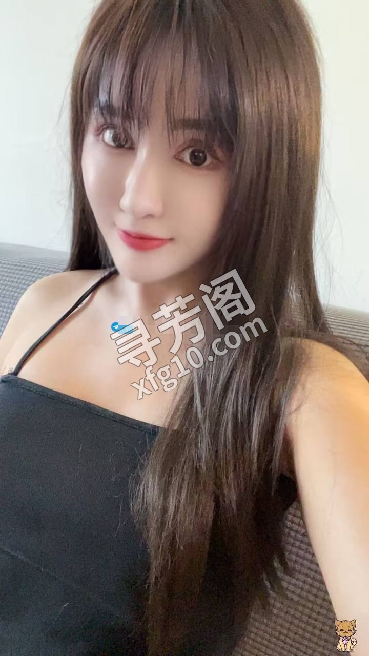 青羊 500 4