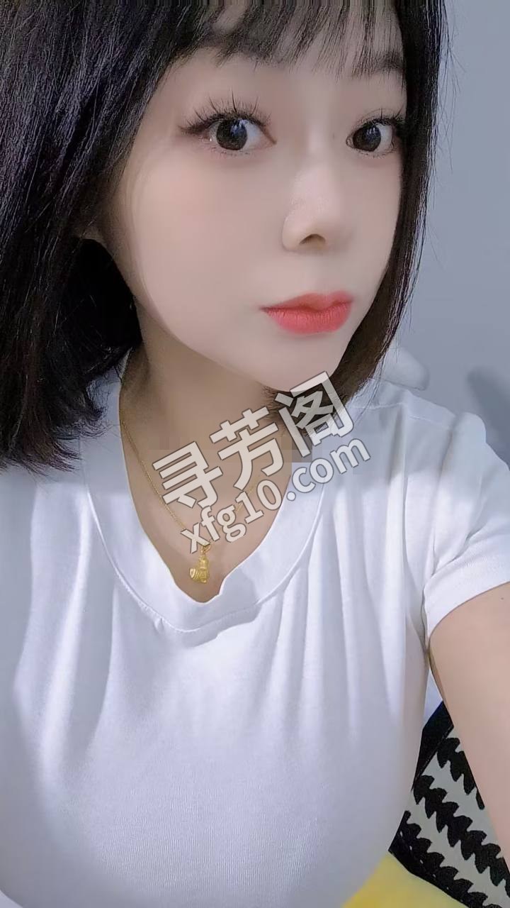 碑林 400 3
