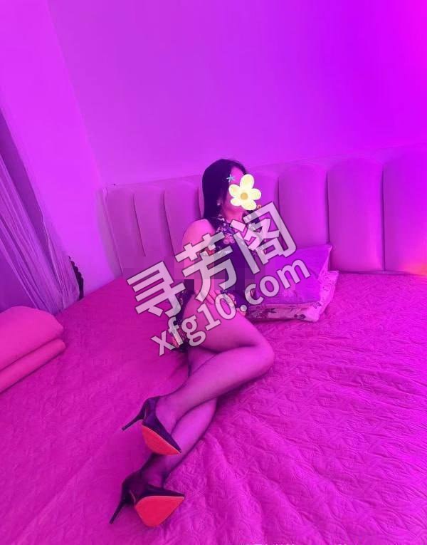 石家庄楼凤 2