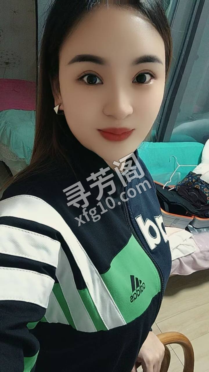 广州白云楼凤 2