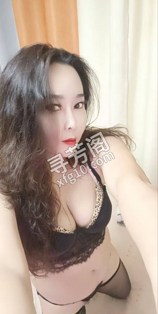 碑林 400 3