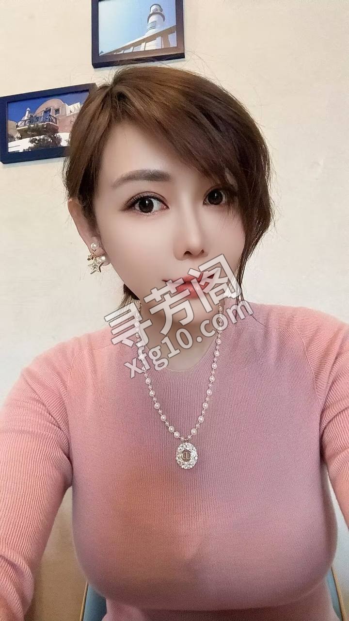 北京朝阳楼凤 4