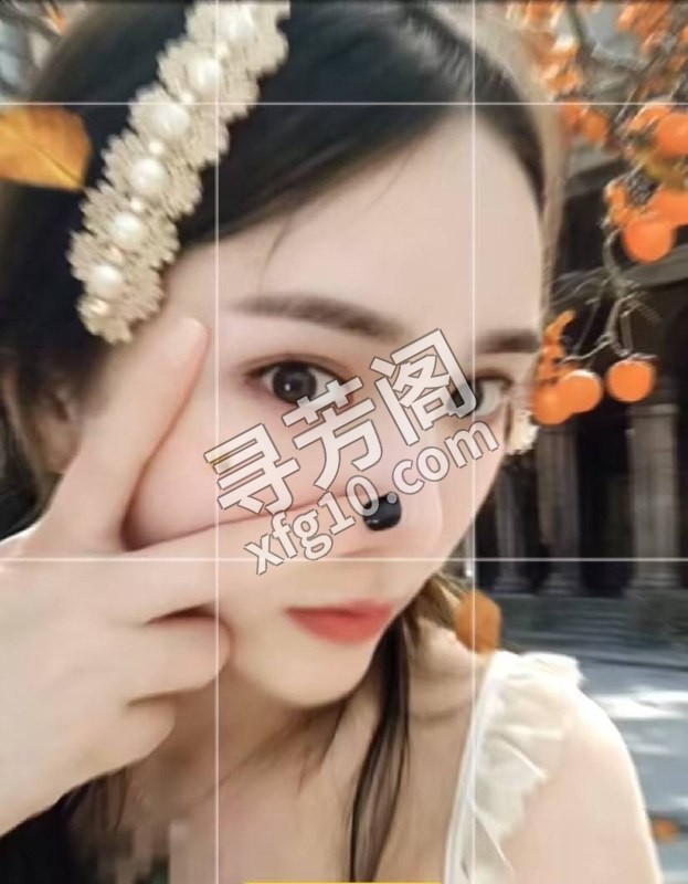 秦淮 500 2