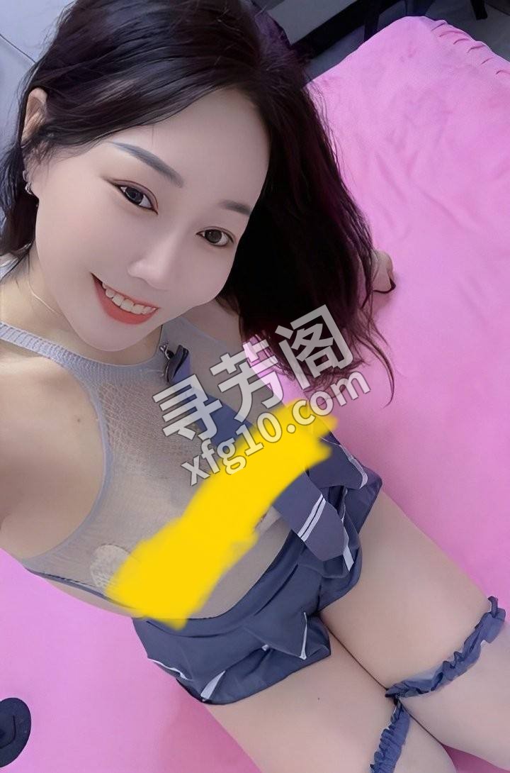 杏花岭 600 2
