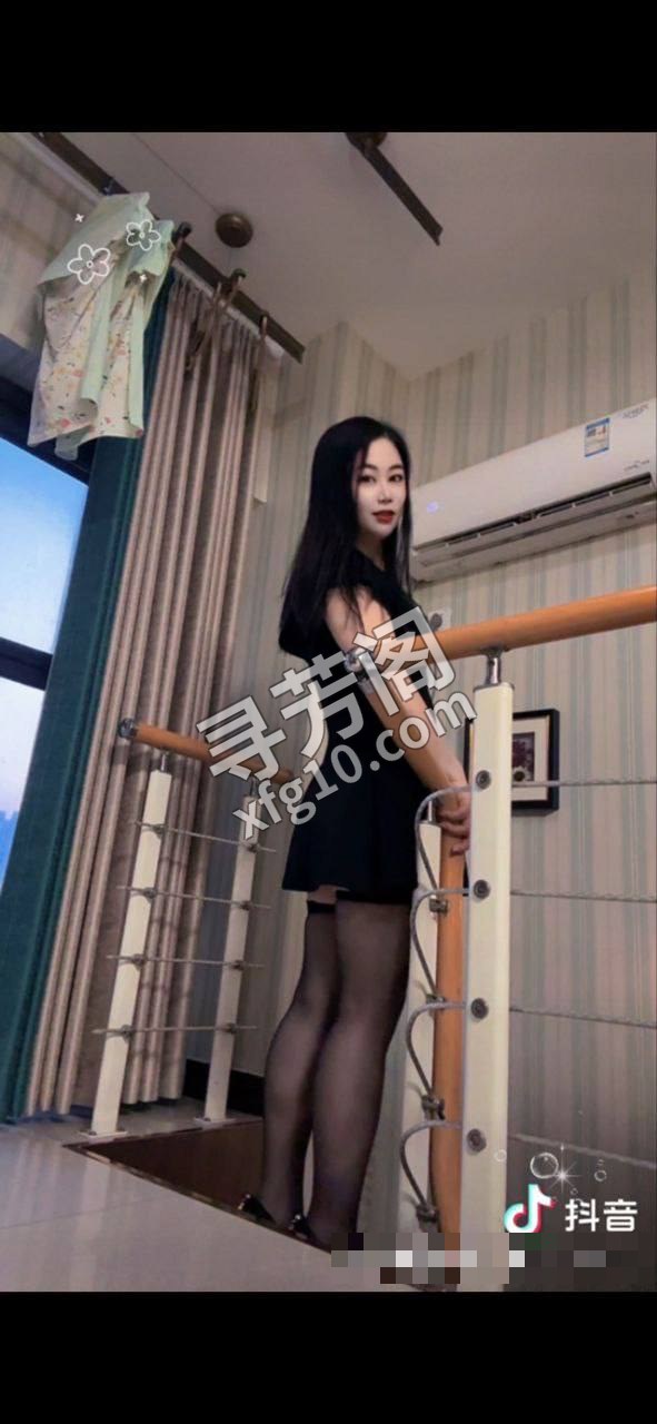 庐阳 40 2