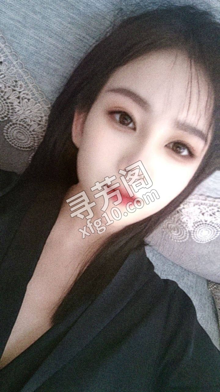 长春楼凤 3