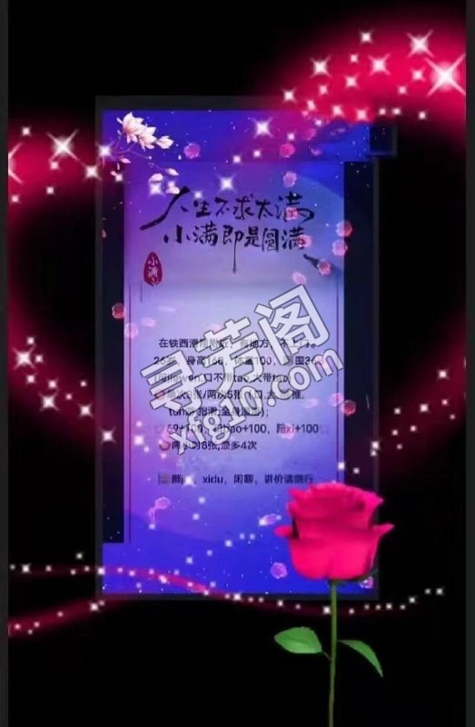 看课表 4