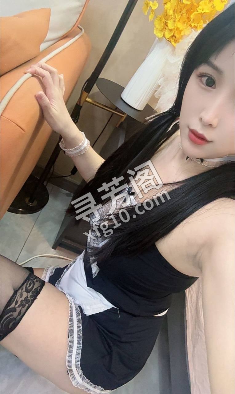 盘龙 500 2