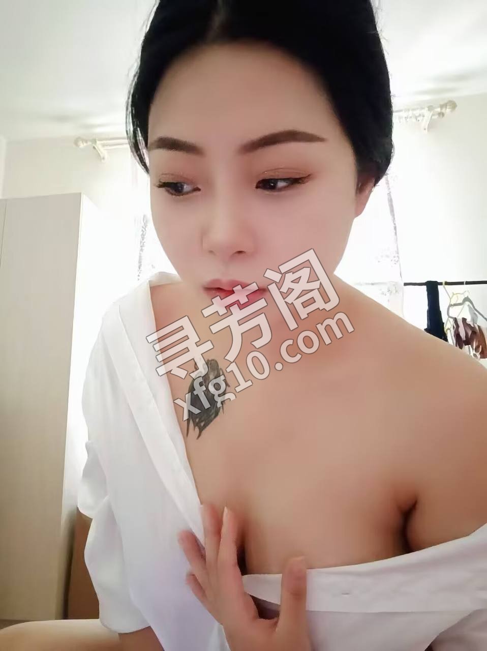 河东 6 2