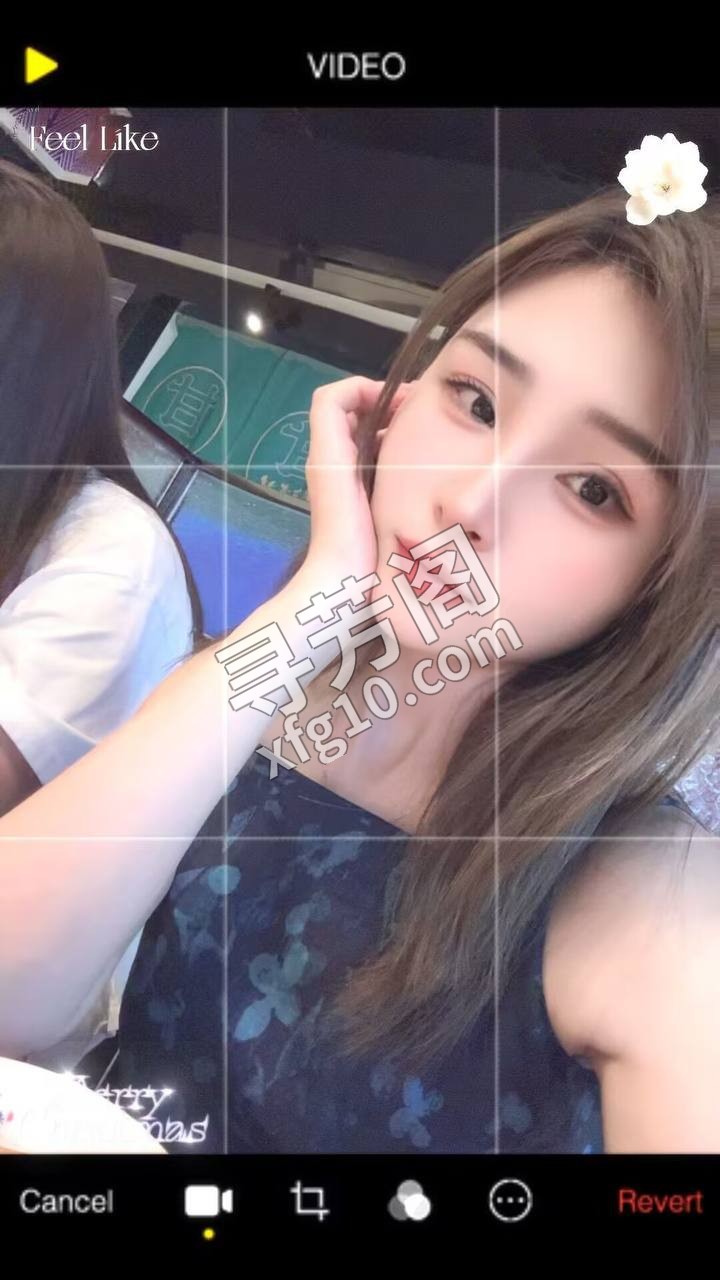 白沙洲 500 2