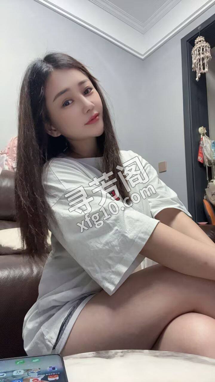 园区 800 3