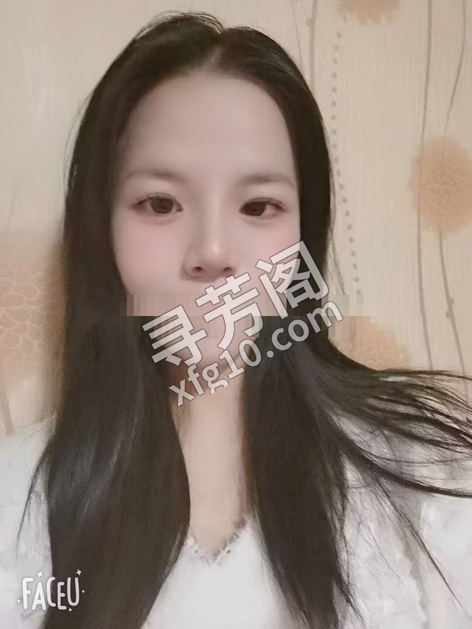 树木岭 2