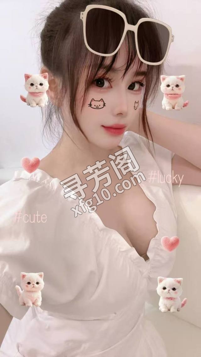 禅 2
