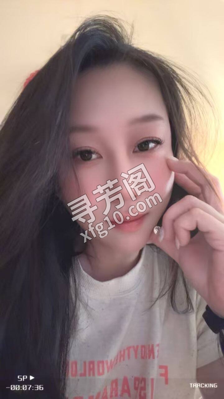 和平 4 4