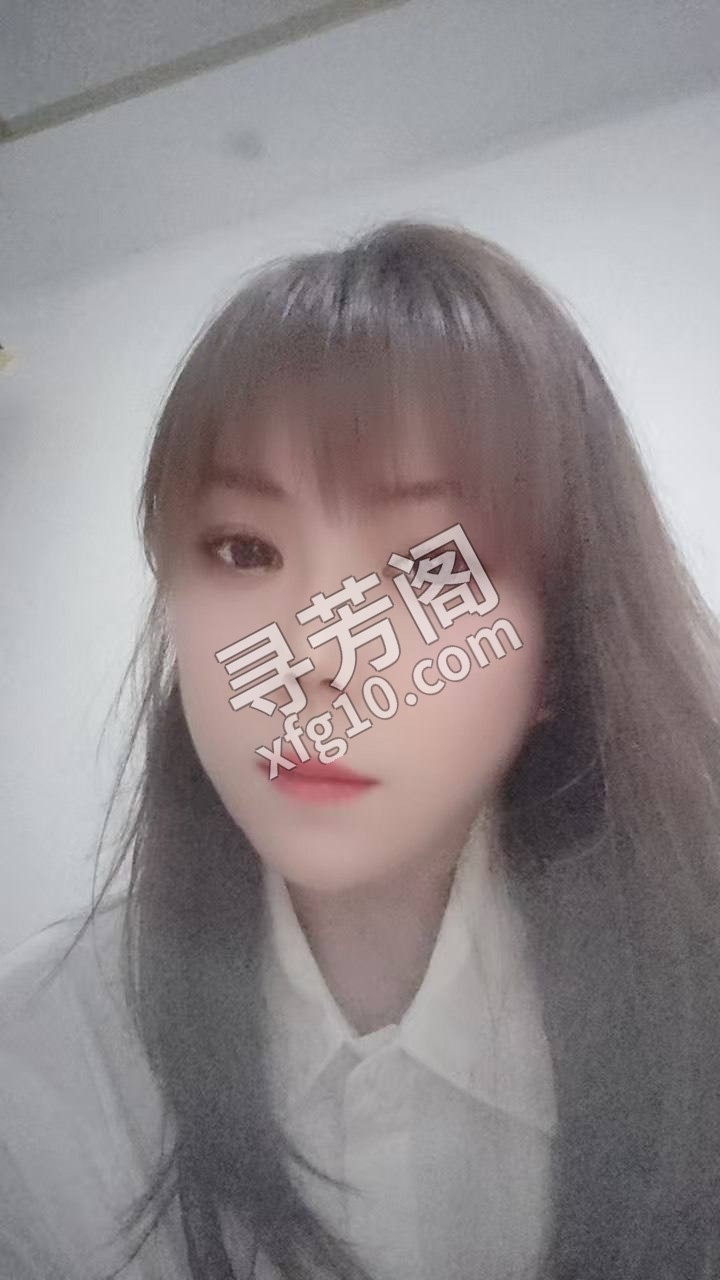 宝鸡金台楼凤 4