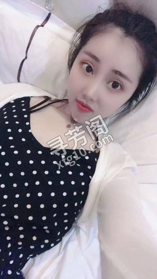 嘉兴楼凤 4