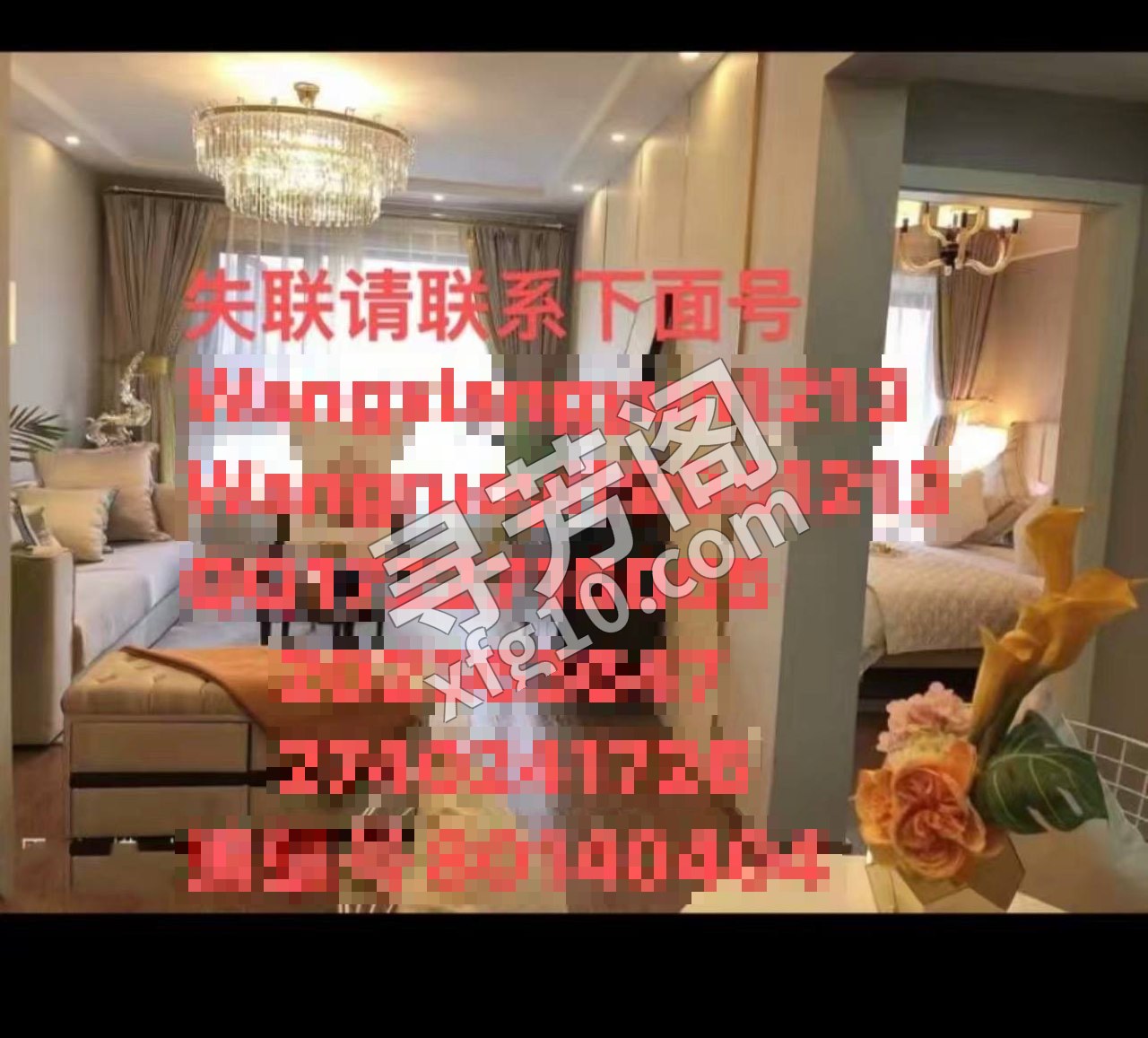 包河 500 3