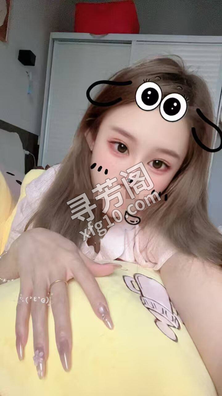 合肥楼凤 2
