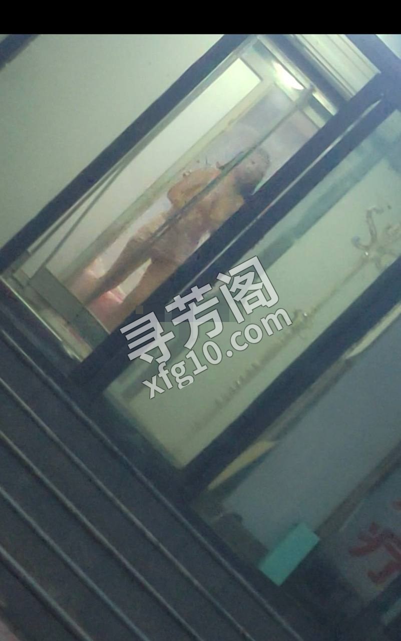 石家庄楼凤 4